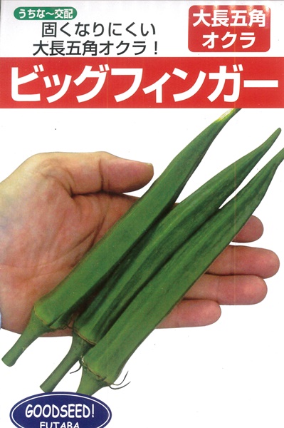 野菜・熱帯果樹の種 ＞ オクラ ＞ 【うちな～交配】 大長五角オクラ